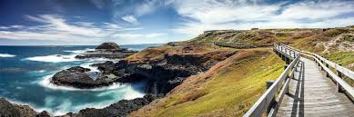 Phillip Island 3